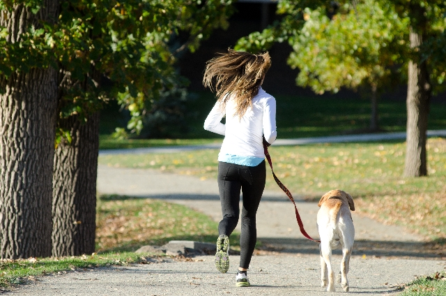 犬と一緒に楽しくジョギングができた！プラス思考トレーニングの効果はすごい！（27～36回）