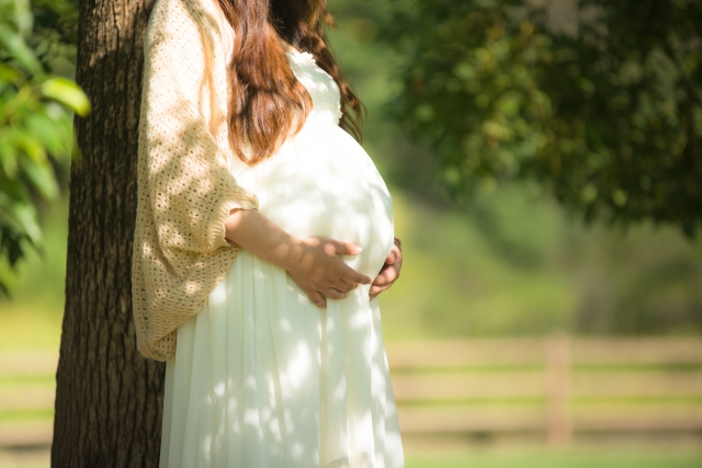 妊娠中の葉酸サプリをお探しならアメリカ農務省が唯一公式認定したＵＳＤＡオーガニックの１００％天然葉酸を使用している添加物不使用安全サプリをお試し下さい。