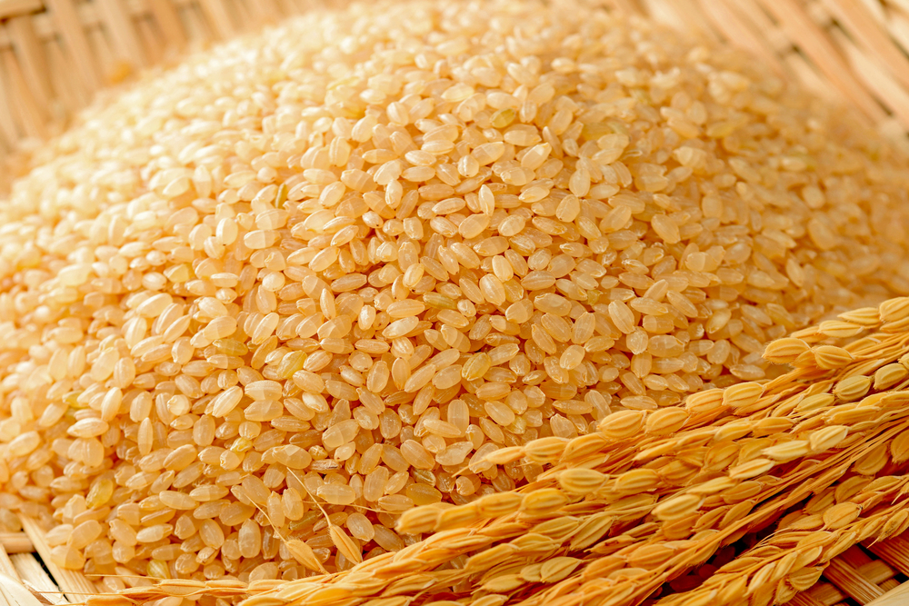 玄米を寄付するのは立派な社会貢献になります