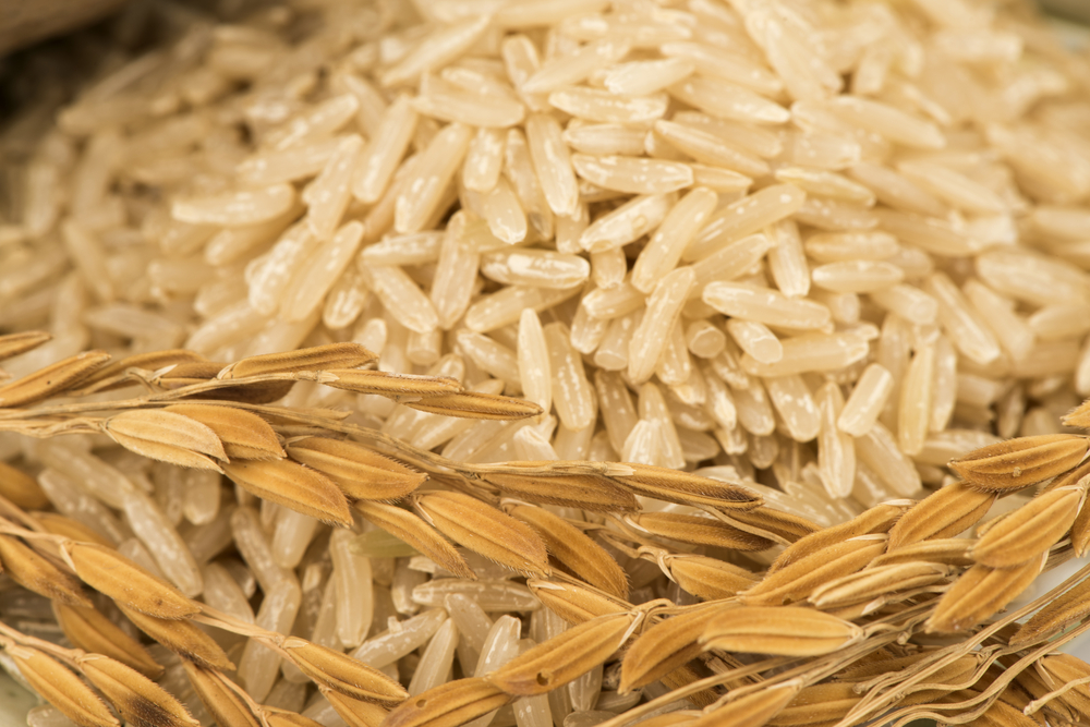健康に良い玄米はアレルギーが改善する？それとも悪化する？