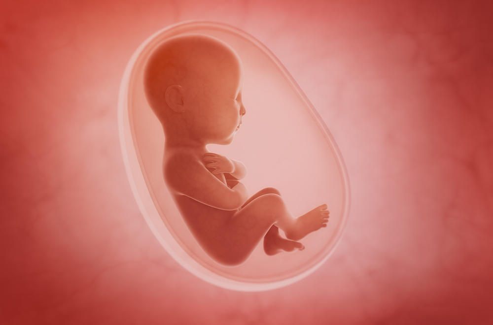 ミトコンドリアは妊娠中に増やす事ができる？赤ちゃんに良い影響とは